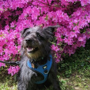 Fundraising Page: George PAC ALUM